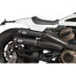 Preview: V Performance, Hitzeschild aus Kohlefaser 21-24 RH1250S Sportster S