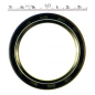 Preview: James, oil seal transmission mainshaft (1p)