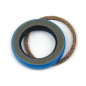 Preview: James, oil seal transmission mainshaft. Double lip