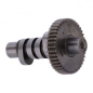 Preview: S&S, H-grind 48-57 camshaft (service part)