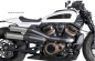 Preview: RACING EDELSTAHL SAMMLER RH 1250 S / SPORTSTER S AB BJ 2021
