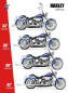 Preview: 2-2 AUSPUFFANLAGE THRUE DUAL FISHTAIL FÜR SOFTAIL MIT EG ABE