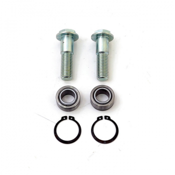 Schwingenbolzen kit