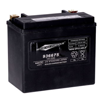 MCS, 12V versiegelte AGM-Batterie. 22Ah. 325CCA