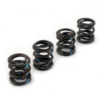 Andrews, Ventilfedersatz. 0,600" Hub