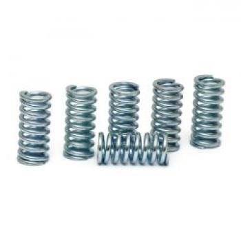 BDL, clutch spring set. For ETC clutches
