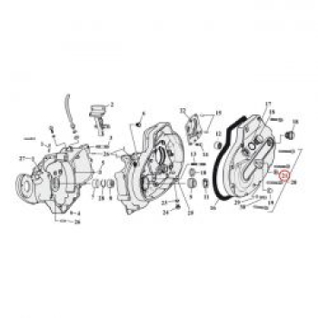 Cometic oil seal, transm. shifter shaft / clutch release