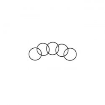 Cometic O-ring, starter to inner primary