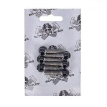 Screws4bikes, Schraubensatz, obere Getriebeabdeckung