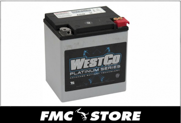 WESTCO, AGM BATTERY