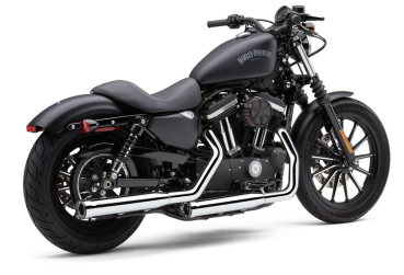Preview: SLIP ON AUSPUFFTOPF RPT FÜR SPORTSTER  2003-2020 MIT EG ABE