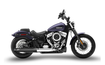 SLIP ON AUSPUFFTOPF "PUNISHER" FÜR SOFTAIL STREET BOB M8 AB Bj. 2025-  Euro5+