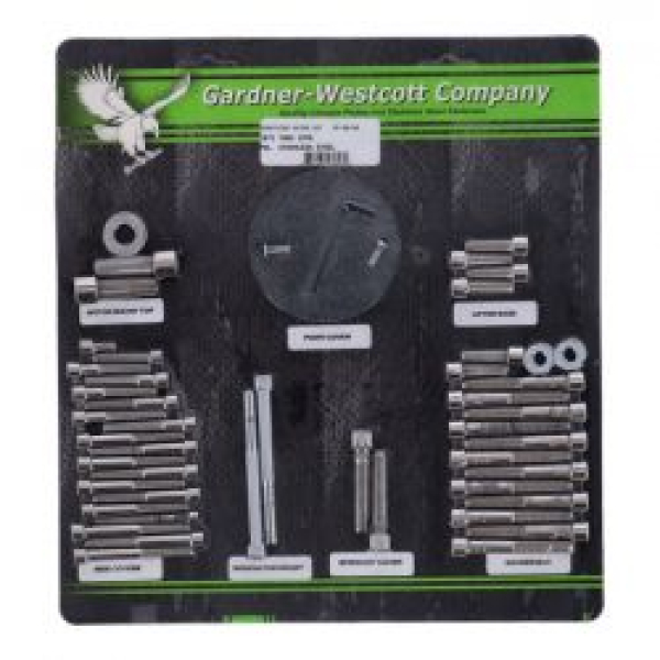 Motor screw set, polished ss allen