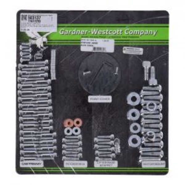 Motor screw set, chrome allen