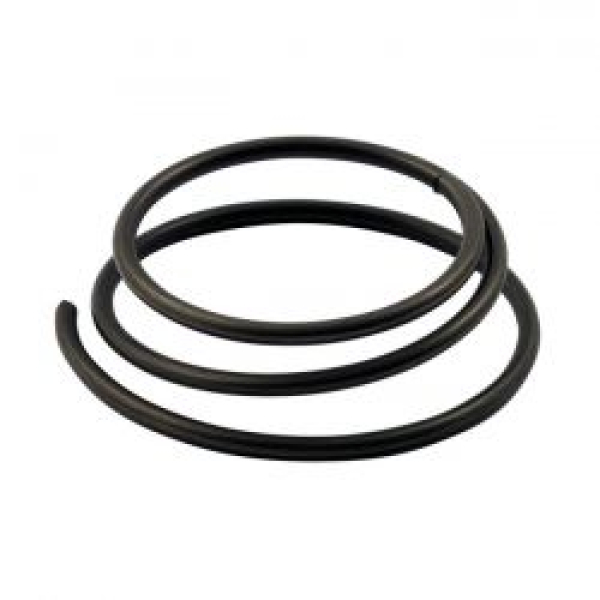 Kickstart starter clutch spring