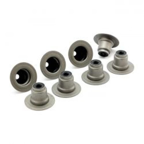 James, Ventilführungsdichtungssatz. Viton. 8er-Packung.