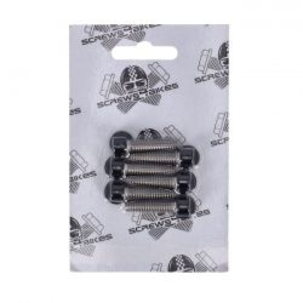 Screws4bikes, Schraubensatz, obere Getriebeabdeckung