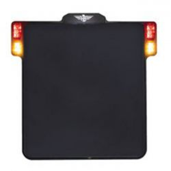 HeinzBikes, All-In license plate bracket with taillight
