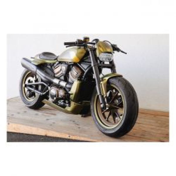 Cult-Werk, headlamp mask kit "NRS style". Matte black
