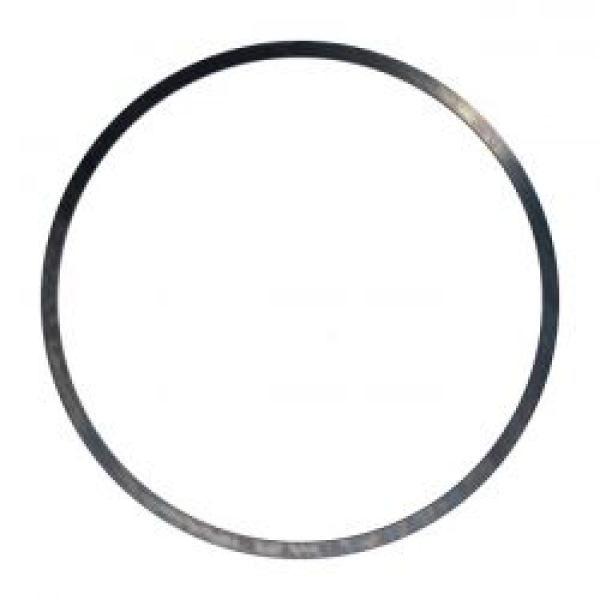 Clutch, spring plate