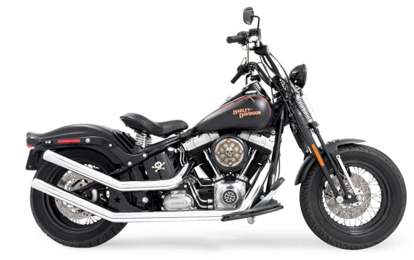 AUSPUFFANLAGE UPSWEEP STAR CAP 2-2 FÜR SOFTAIL MIT EG ABE