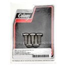 Colony, front brake rotor bolt kit. Zinc