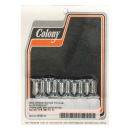 Colony, front brake rotor bolt kit. Chrome