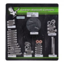 Motor screw set, ss allen