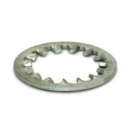 Lockwasher, swingarm bolt